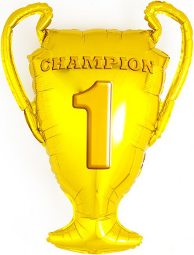 Кубок Чемпиона, 71 см.